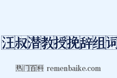 汪叔潜教授挽辞组词是什么意思的图片